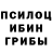 Галлюциногенные грибы мицелий 9Real Pepe