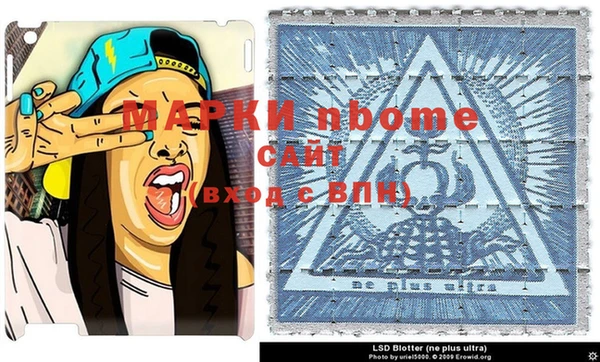 дурь Кемь