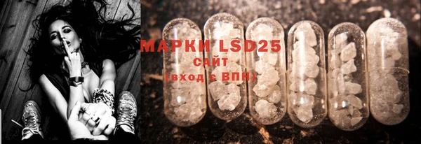 ECSTASY Тында